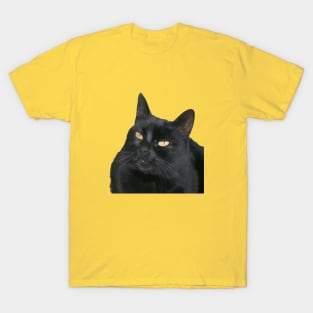 Black Cat With Beautiful Yellow Eyes Vector Art Cut Out T-Shirt